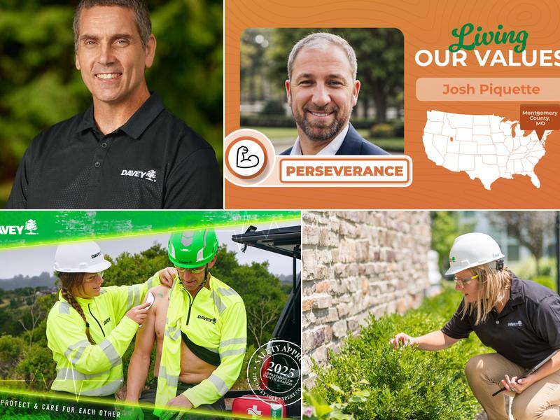 The Davey Tree Expert Company