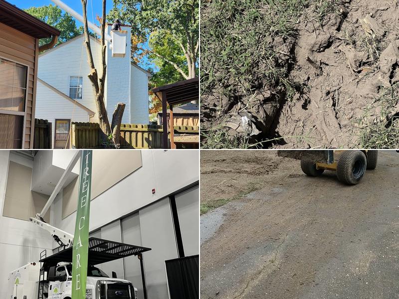 Smith's Tree Care, Inc.