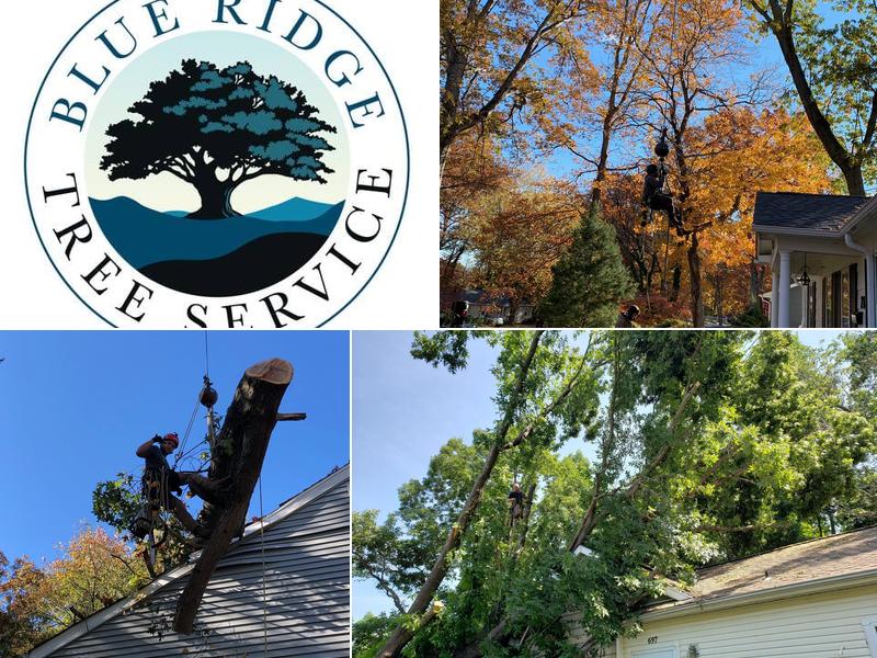 Blue Ridge Tree Service