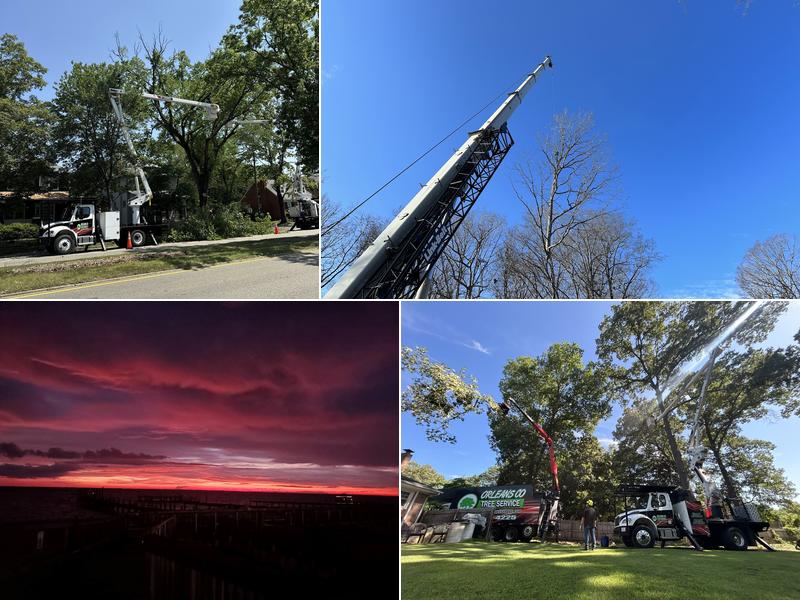 Orleans Co. Tree Service