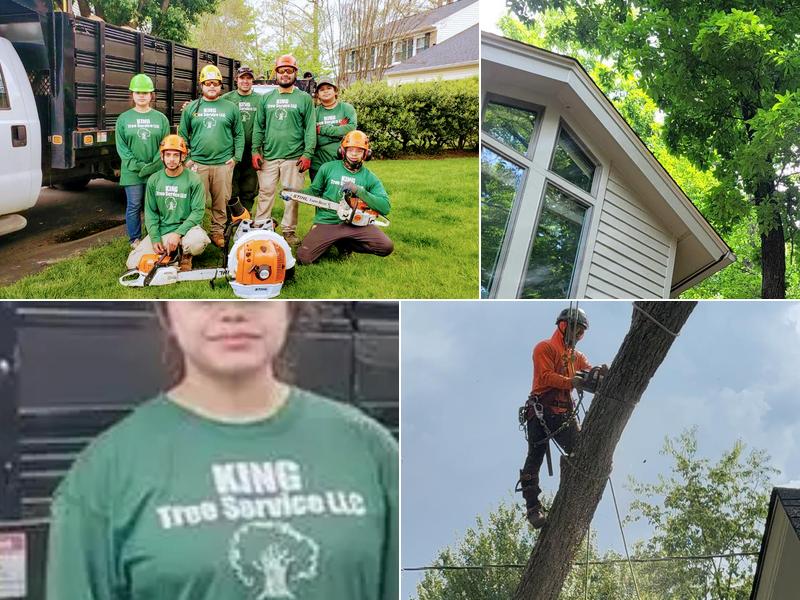 King Tree Services LLC