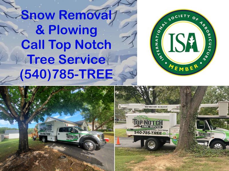 Top Notch Tree Service, Inc.