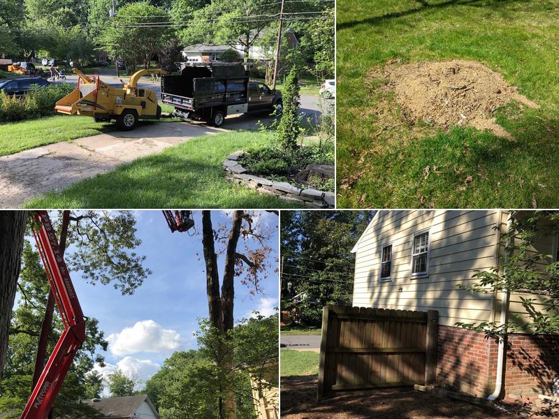 Jake Butler Jr & Sons Tree Service, LLC