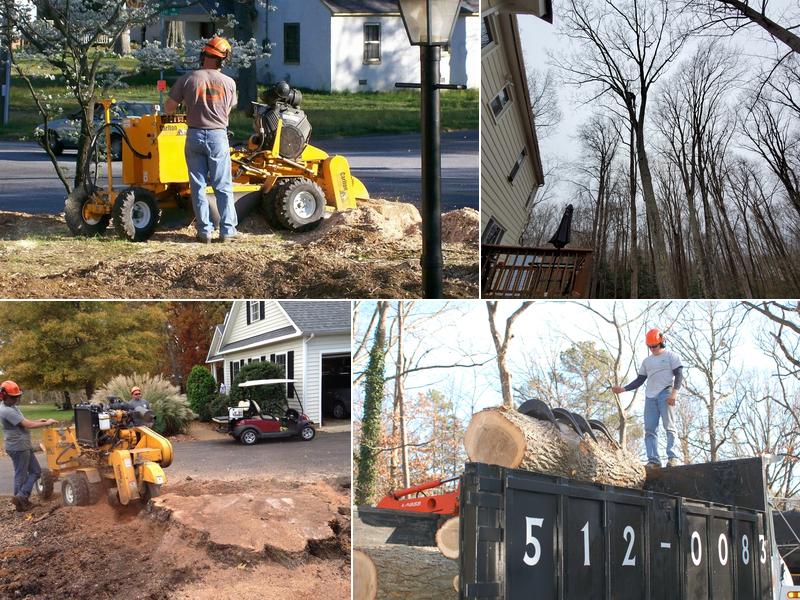 CARE Professional Tree Service, LLC