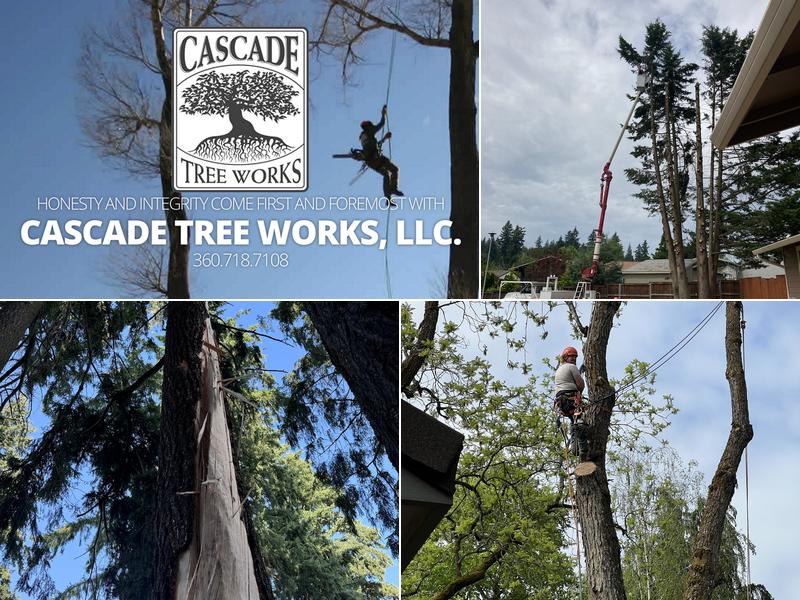 Cascade Tree Works