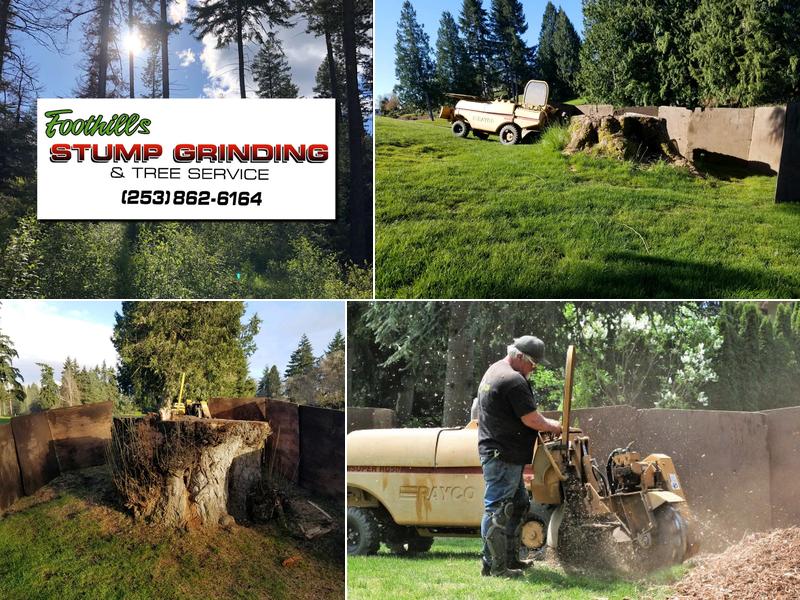 Foothills Stump Grinding & Tree Service