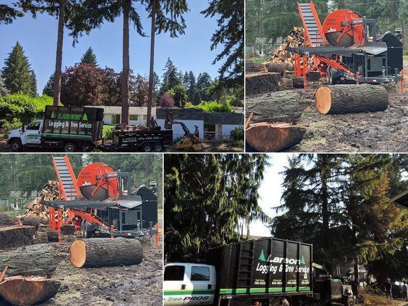 Larson Logging & Tree Service, Inc.