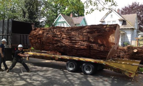 Ranger Tree Experts Inc.