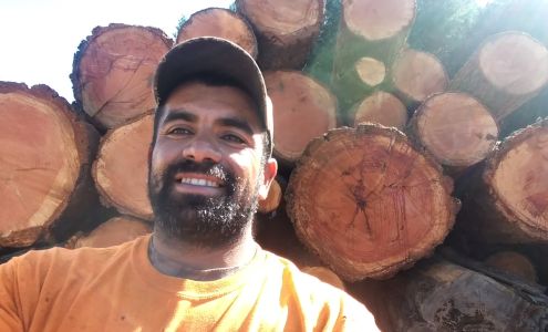 All star tree especialist Inc Buckley