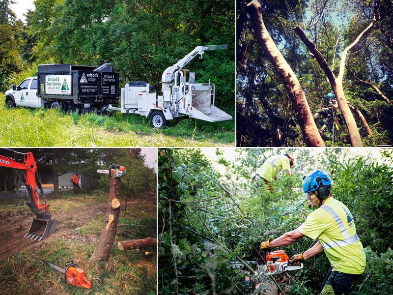 Arbor's Edge Orchard and Tree Service