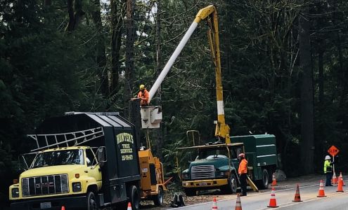 Hunters Tree Service