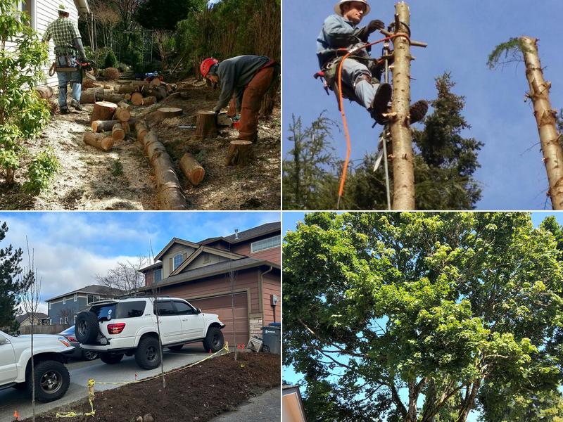 Thundering Oak Enterprises