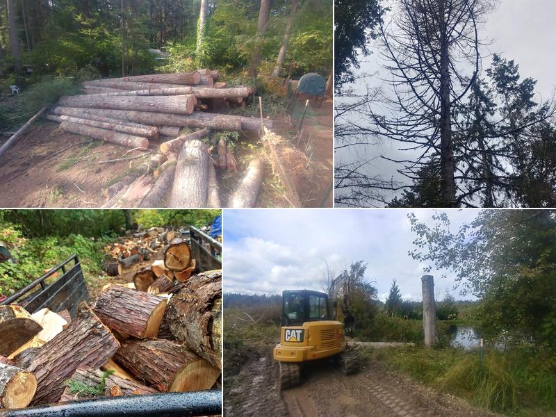 Torrison Tree Service