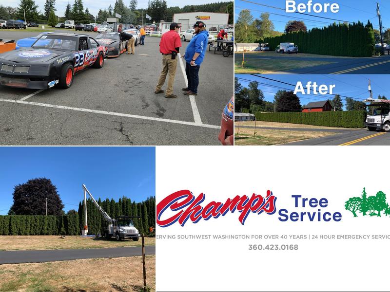 Champ's Tree Services