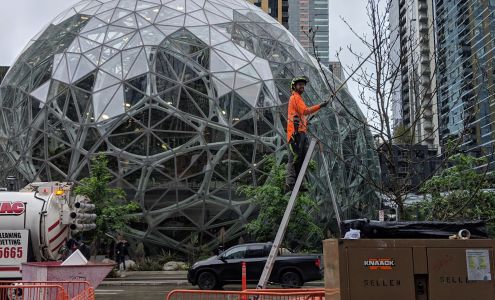 Conservation Tree Care 12037 80th Ave S, Seattle Washington 98178