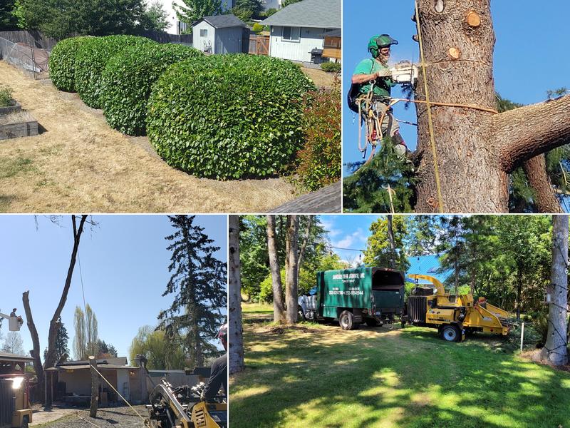 Canzler Tree Service