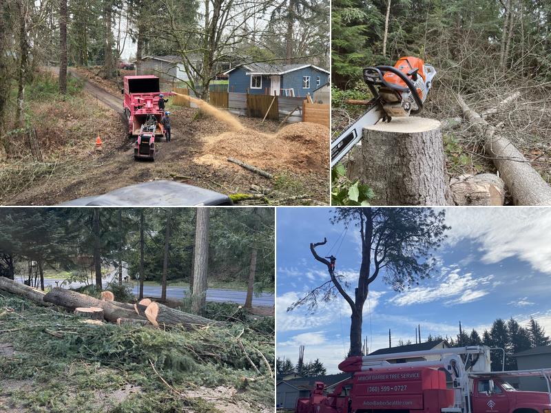 Arbor Barber Tree Service