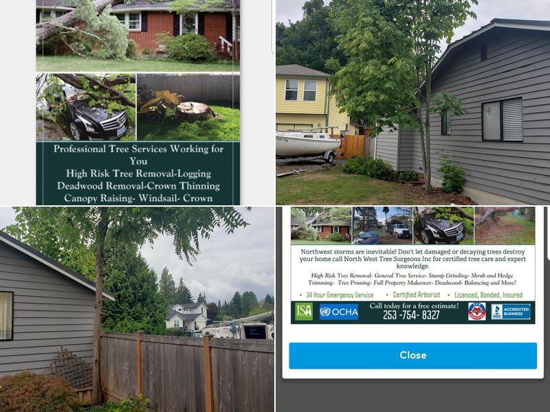 Northwest Tree Surgeons