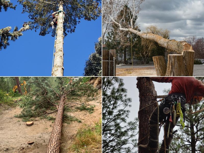 Armstrong Tree Works