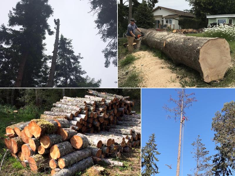 All Purpose Tree Service, LLC