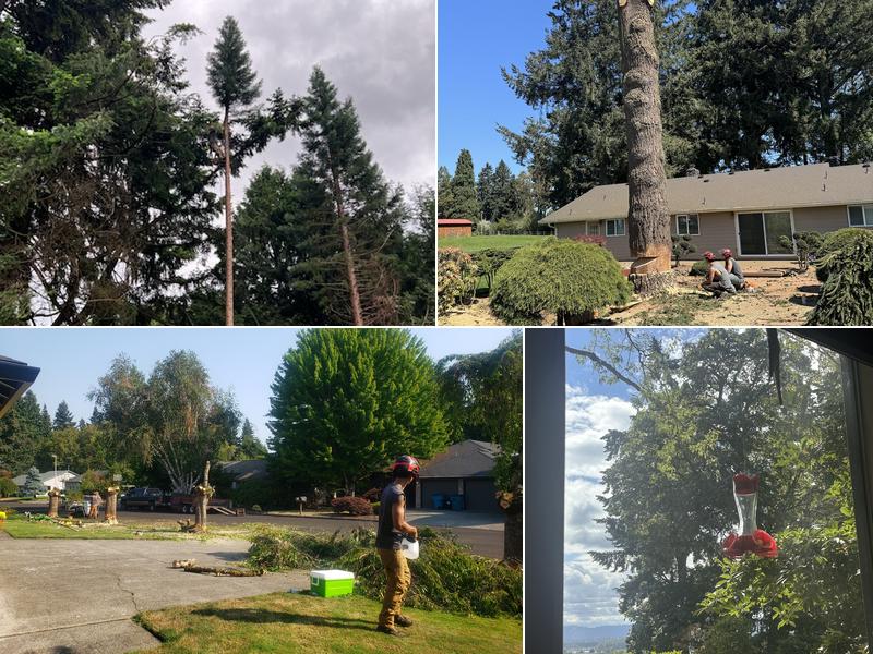 Roscoe Brothers Tree Service LLC