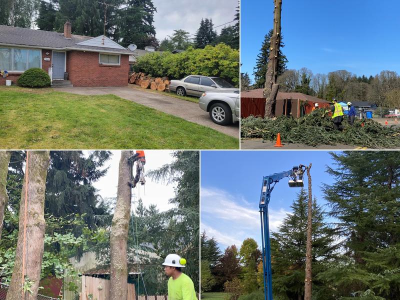 One Hope Tree Service & Construction, LLC