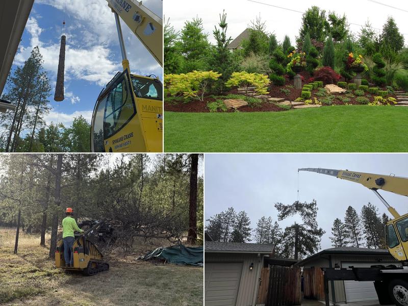 Sam's Tree & Landscape, LLC