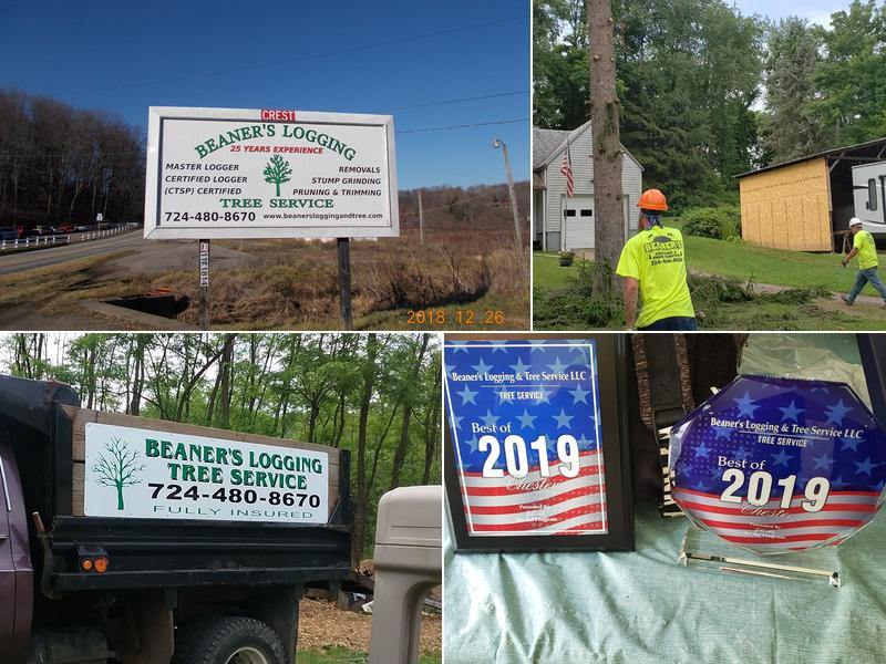 Beaner's Logging & Tree Service LLC