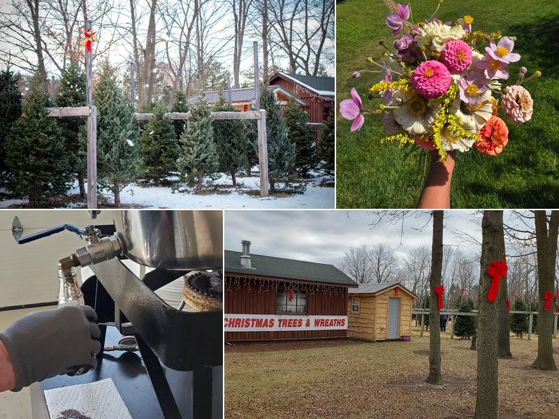 Trees for Less Nursery