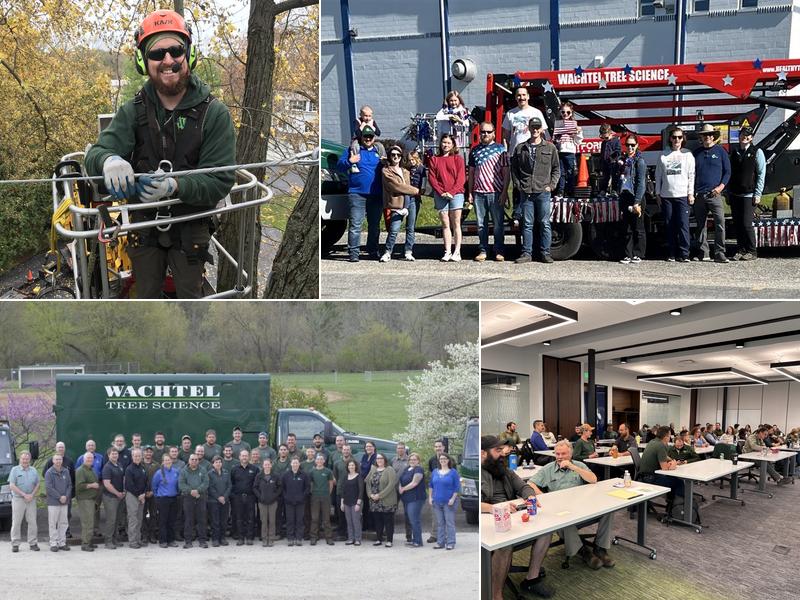 Wachtel Tree Science