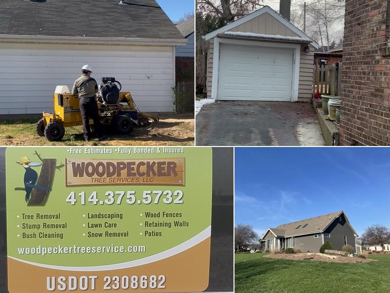 woodpecker tree services