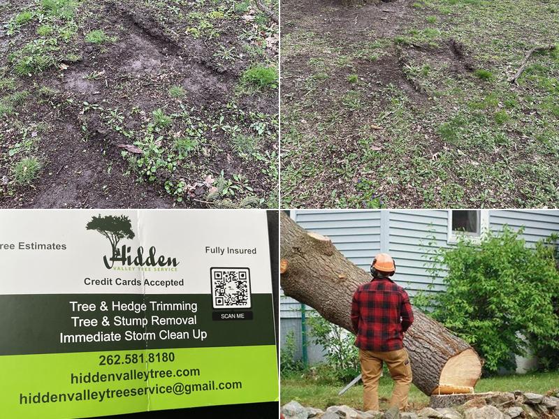 Hidden Valley Tree Service
