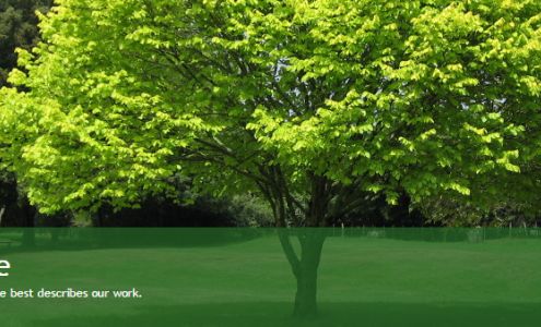 Eagle Eye Tree Service LLC