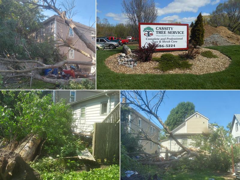 Cassity Tree Service, Inc.