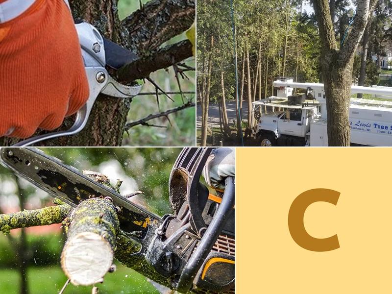 Chris Lewis Tree Surgery