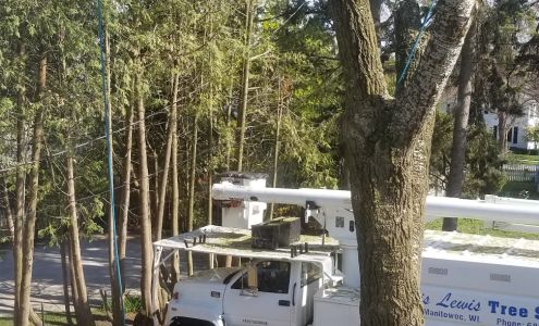 Chris Lewis Tree Surgery