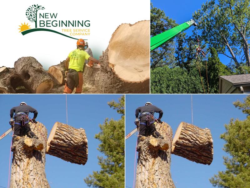 New Beginning Tree Service Company