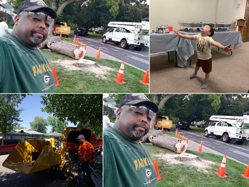 Brown's Budget Tree Services