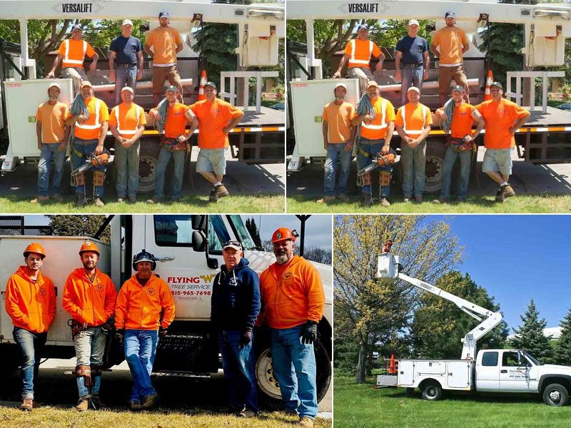 Flying W Tree Service