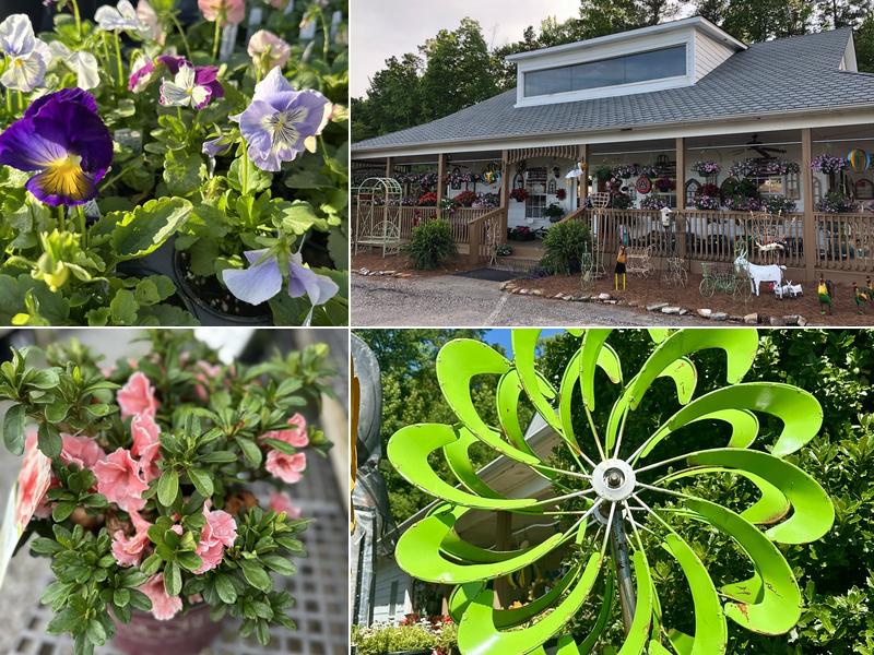 Cedar Creek Nursery Helena