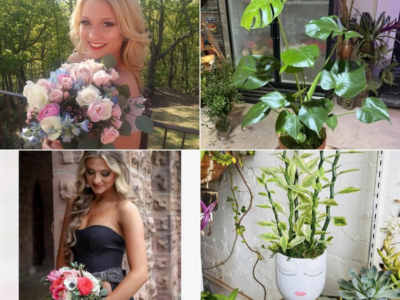 Rococo Floral Studio