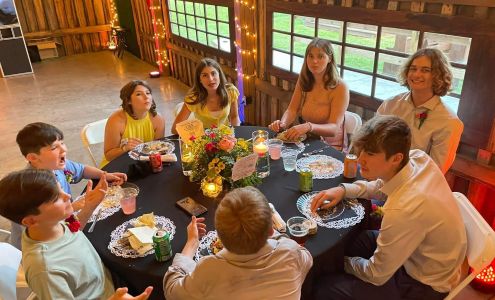 Sunflowers Designs & Garden