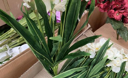 Flower Outlet
