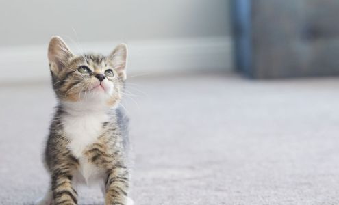 Empire Today - Empire Flooring®