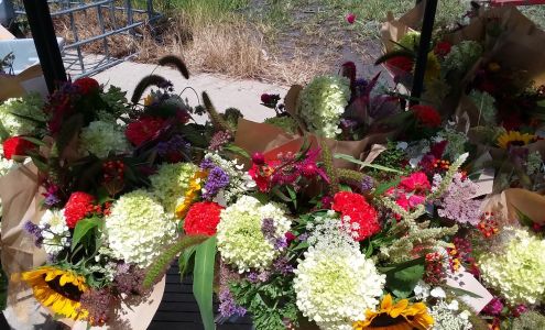 Seaberry Farm Federalsburg