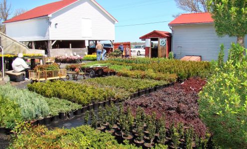Jeff's Green Houses & Gift Shop 7781 Main St, Bethel Delaware 19931