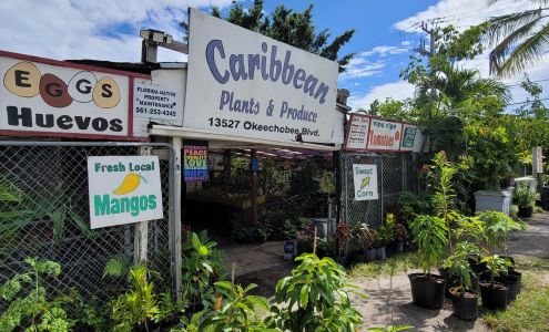 Caribbean Plants and Produce 13527 Okeechobee Blvd, Loxahatchee Groves Florida 33470