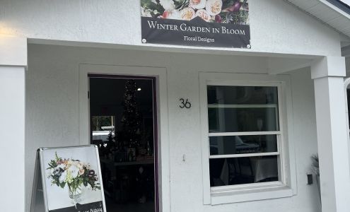 Winter Garden in Bloom