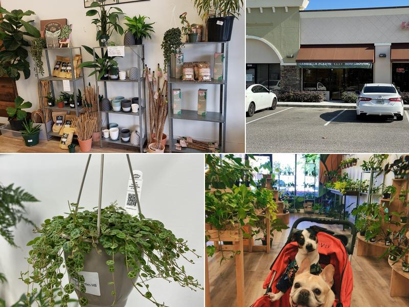 Gabriella Plants Shop