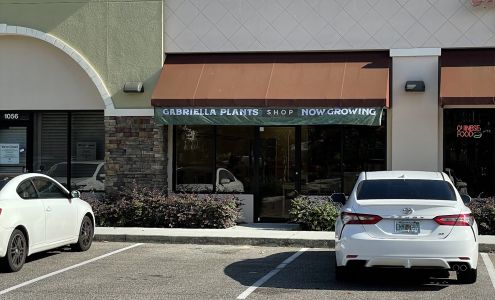 Gabriella Plants Shop